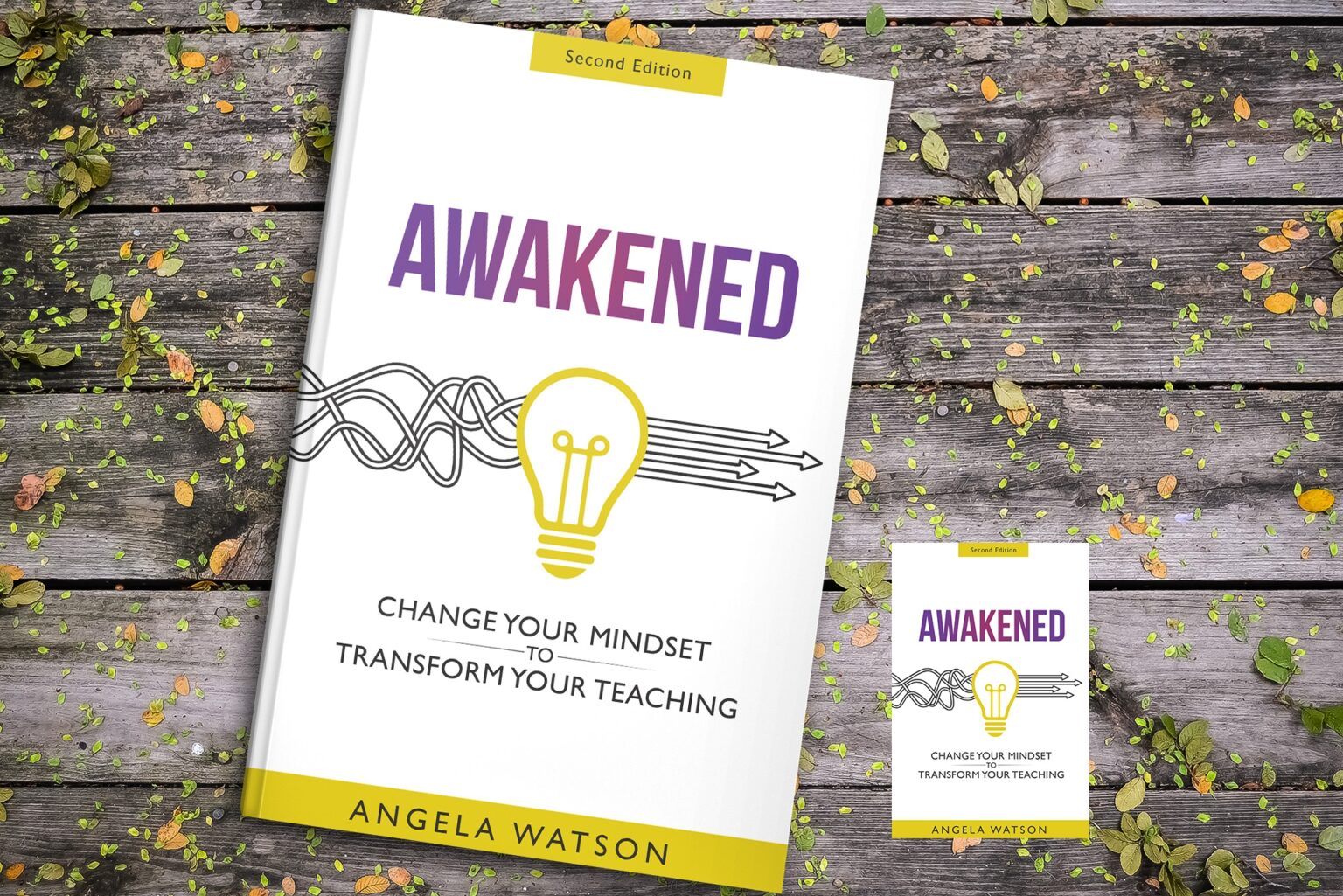 Truth For Teachers Radical acceptance How to deal with teaching